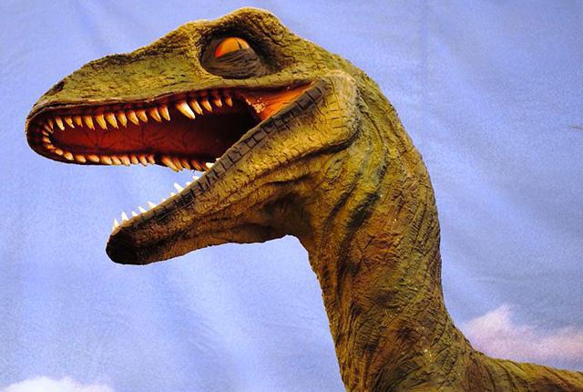 En büyük raptor, dromaeosauridlerin kana susamış bir ailenin dinozorudur.