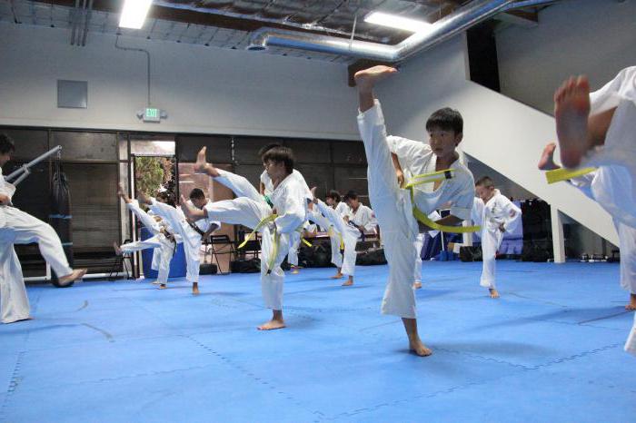 7 yaşındaki çocuklar için aikido