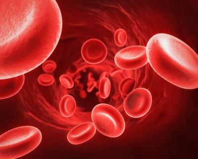 Erkek ve kadınların kanındaki hemoglobin normu nedir?